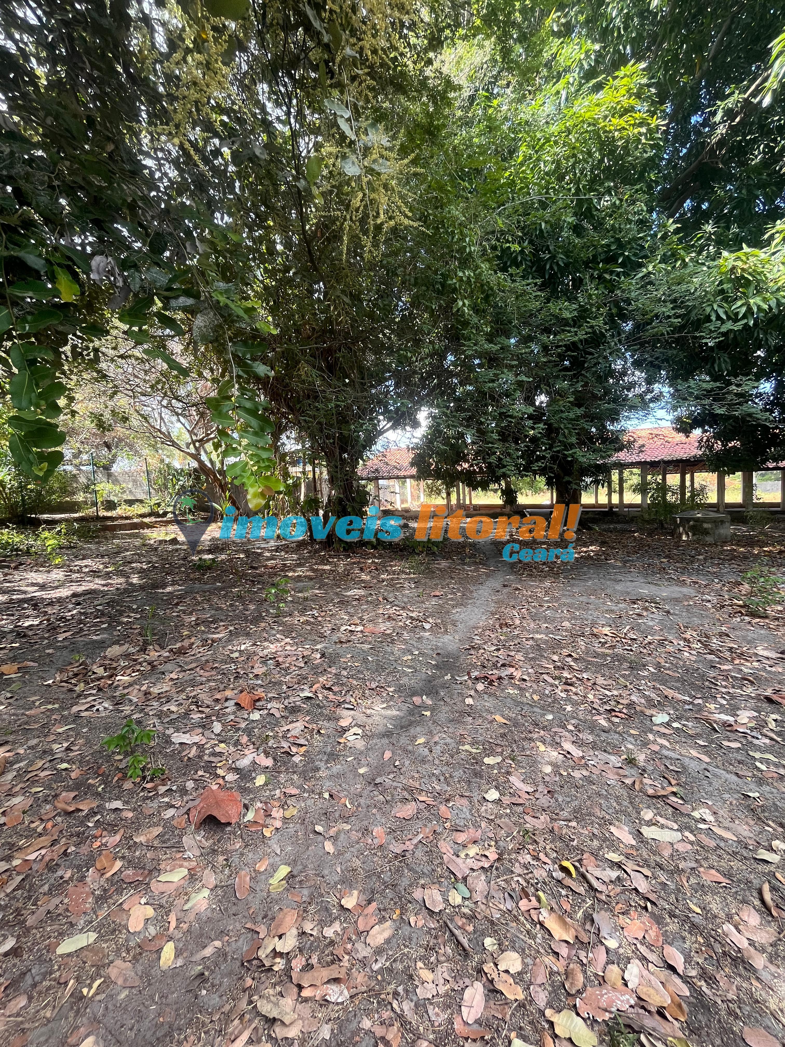 SÍTIO PRAIA PACHECO 7000m2