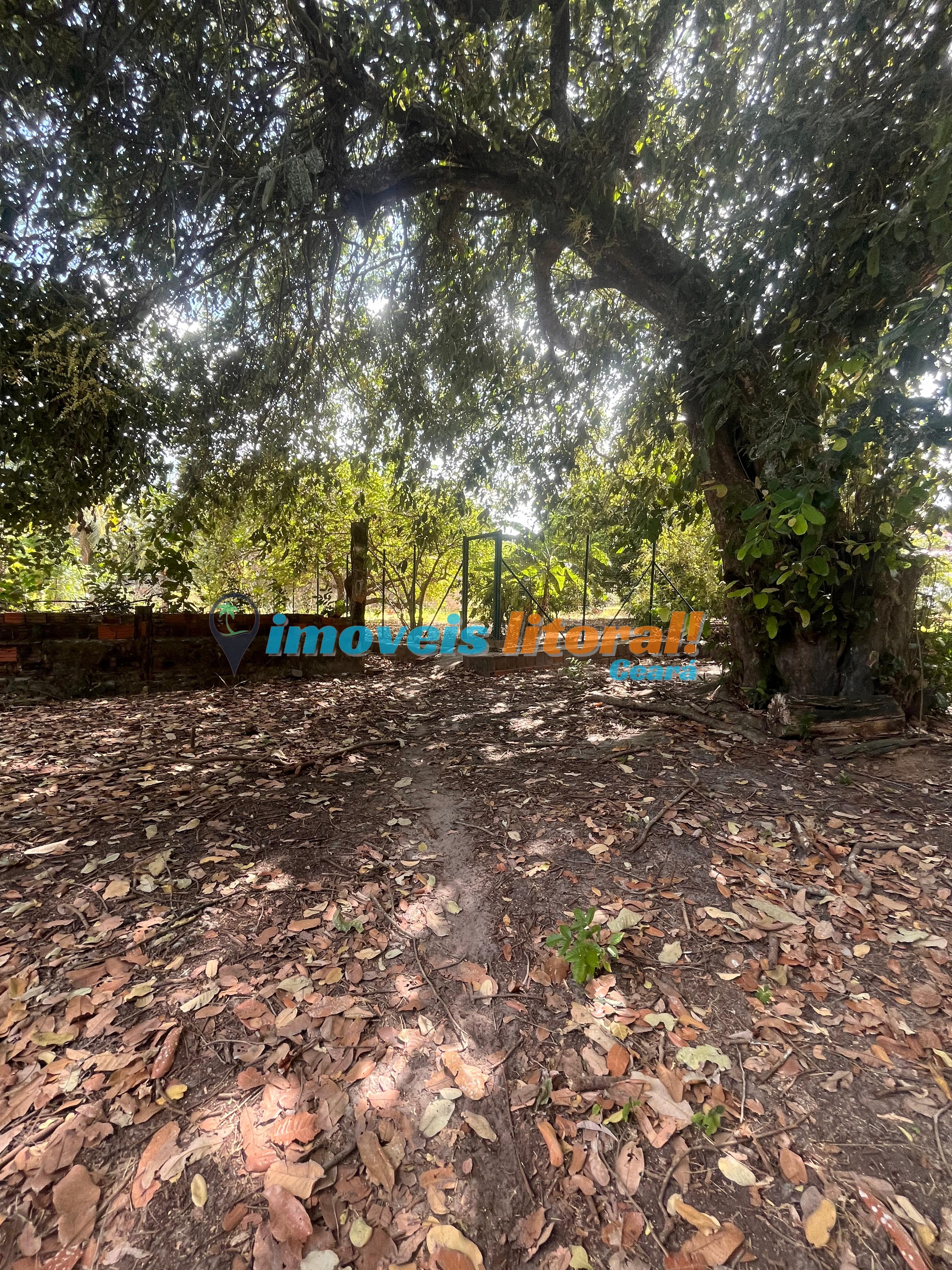 SÍTIO PRAIA PACHECO 7000m2